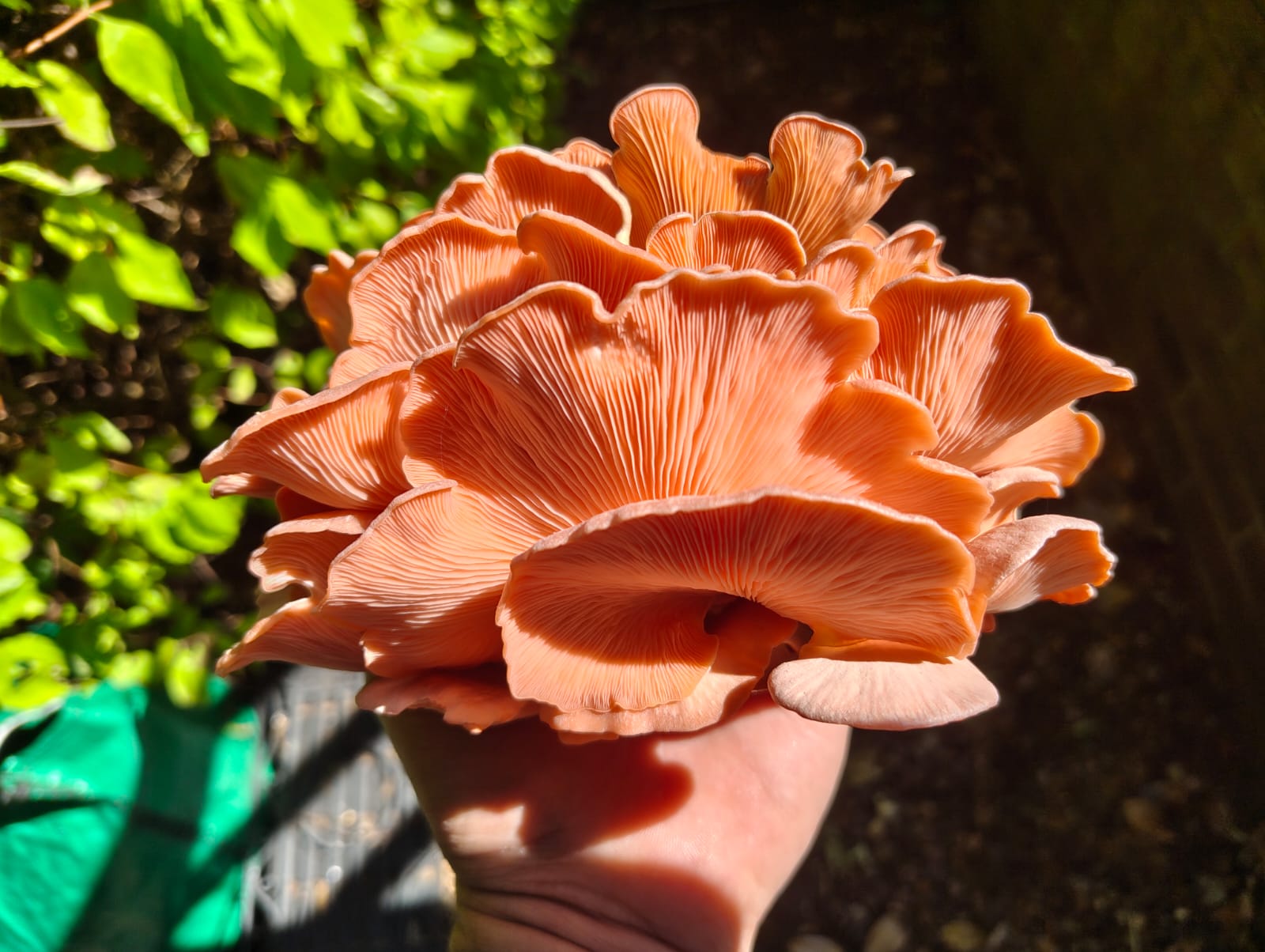 WhatsApp Image 2025-10-24 at 20.55.53_e375058d